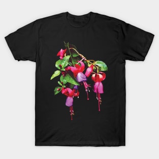 Fuchsias - Fuchsias Marsha T-Shirt